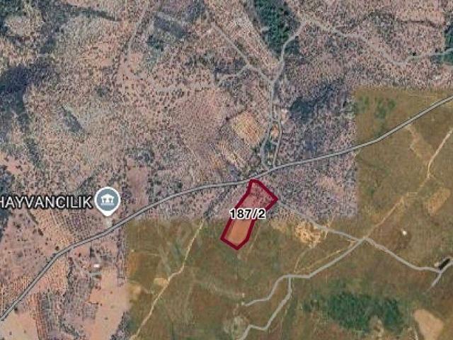 KAZIKLIDA YATIRIMCILAR İÇİN KAÇIRILMAYACAK ARSA