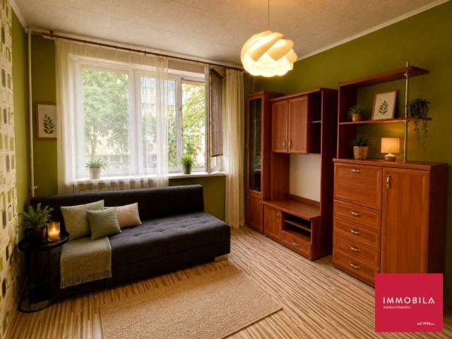 Kazimierza Królewicza 23,45 m², Szczecin