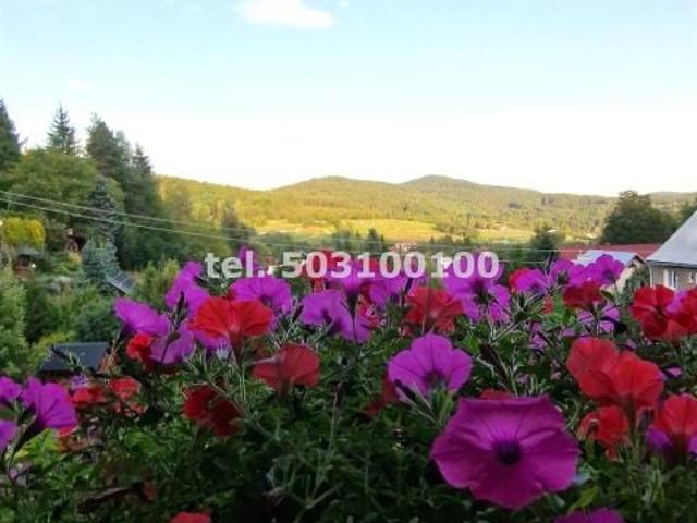 Kazimierza Pułaskiego 25 165 m², Krynica Zdrój