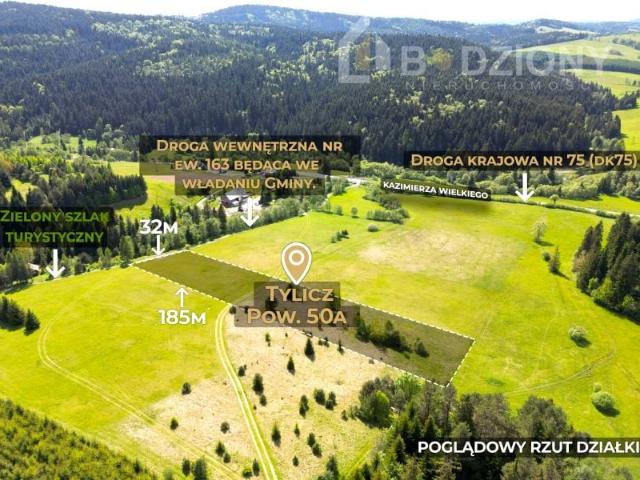 Kazimierza Wielkiego 5 000 m², Tylicz