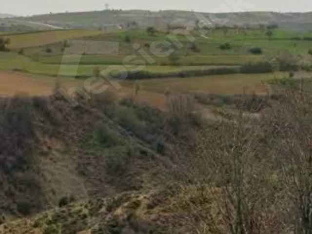 KEÇİÖREN BAĞLUM GÜZELYURT MAHALLESİNDE SATILIK KUPON TARLA