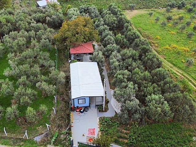 KEMALPAŞA AŞAĞI KIZILCA ANA YOLA YAKIN 1586M2 BAHÇE
