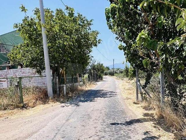 Kemalpaşa Armutlu hürriyet mahallesi satılık bahçe