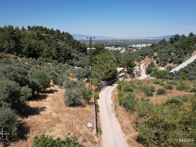 KEMALPAŞA ARMUTLU'DA SATILIK 189 M2 TEK TAPULU ZEYTİNLİK