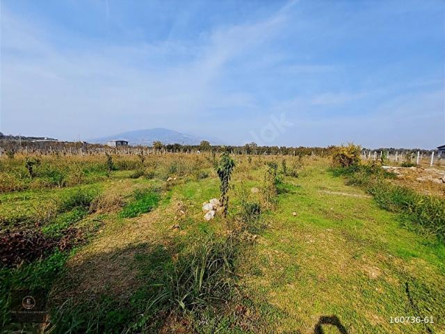 KEMALPAŞA ARMUTLUDA 1200 M2 ELEKTRİK SU MEVCUT HARİKA BAHÇE