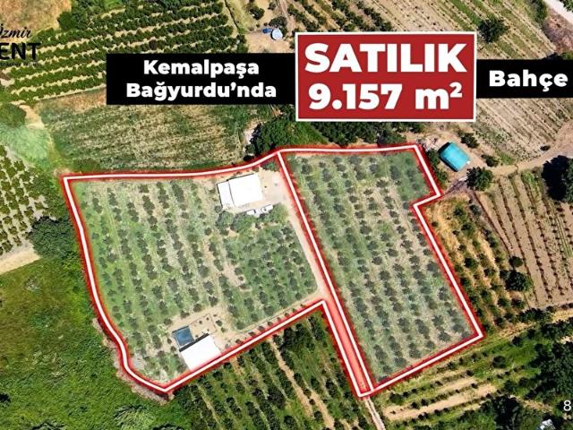 Kemalpaşa Bağyurdu Hazır Kurulu Yapı Kayıtlı 9157 m2 Bahçe