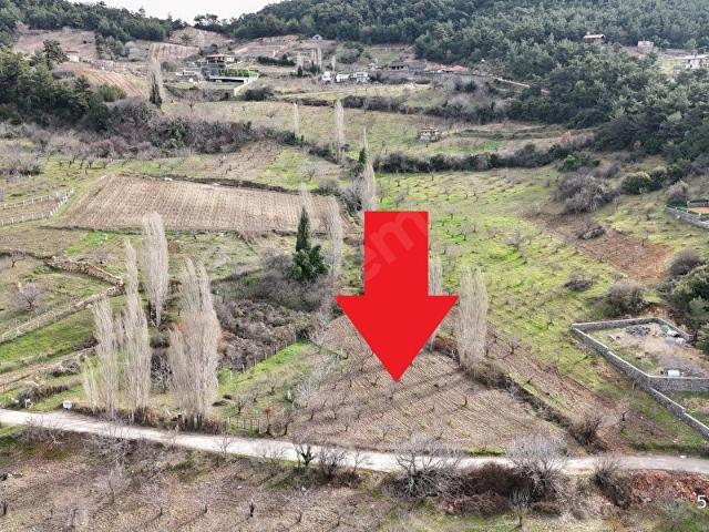 Kemalpaşa Damlacıkta Tek Tapulu 1276 m, 55 Metre Yola Cepheli
