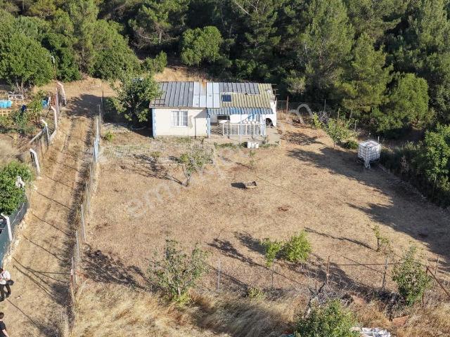 Kemalpaşa Damlacıkta Satılık 500 M² Tapulu Bahçeli Müstakil Ev