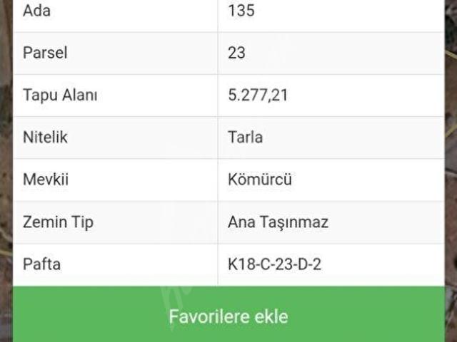 Kemalpaşa Damlacık Köyü müstakil tapu