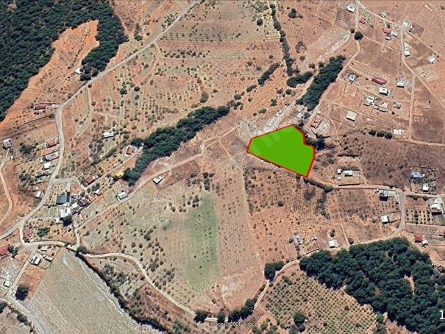 Kemalpaşa Damlacık Satılık 300 m2 Tarla