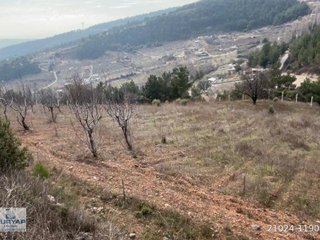Kemalpaşa Damlacık'da Yola Cepheli, Manzaralı ve Tek Tapu 6701m2