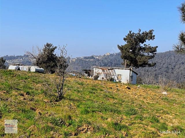 KEMALPAŞA KUYUCAK 10.637 m2 Tarla Vasıflı Yatırım Arazisi