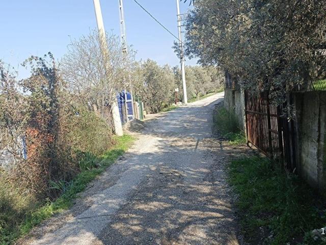 Kemalpaşa Ören Satılık 2119m2 Bahçe