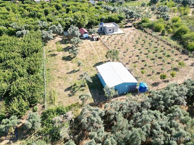 Kemalpaşa Örende 2 Dönüm İçerisinde Bağevli Satılık Arazi