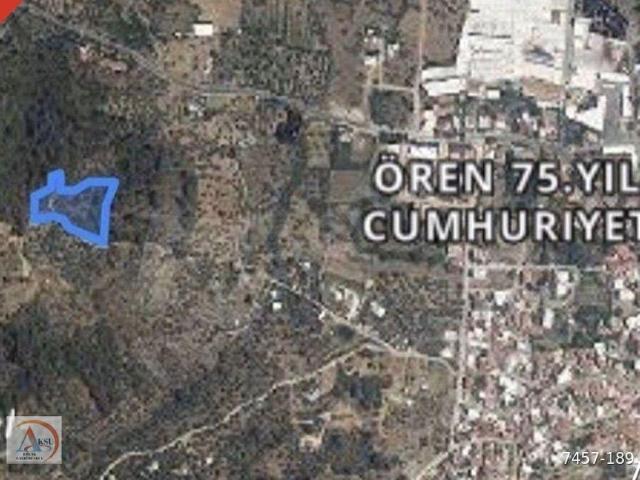 Kemalpaşa Ören'de 5223 M2 Satılık Zeytinlik