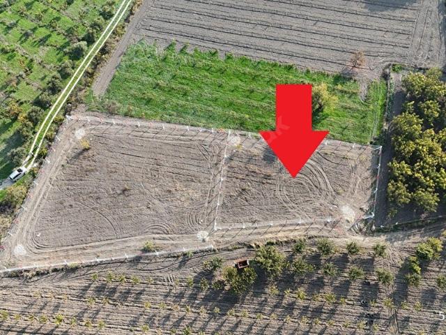 Kemalpaşa Örnekköy Altında 803 m2 Tek Tapulu Hobi Bahçesi