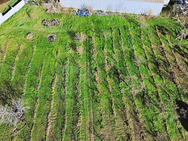 KEMALPAŞA MERKEZ DSİ YAKINI SATILIK 10042 M2 ARAZİ