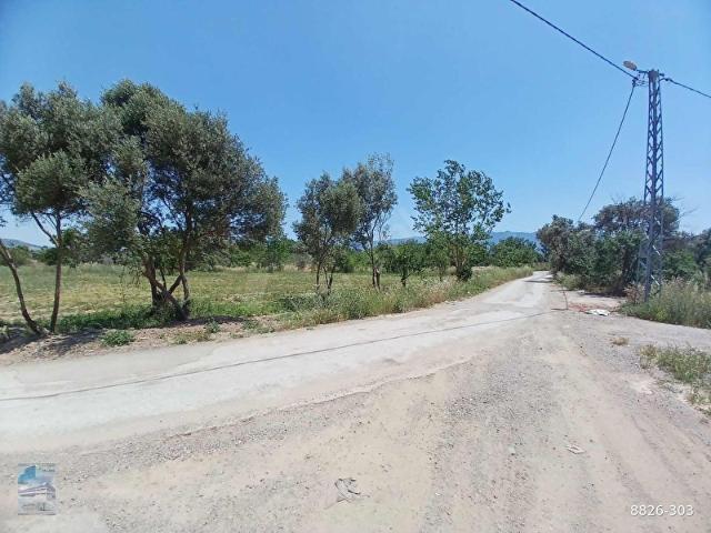 KEMALPAŞA MERKEZE YAKIN 2.250 m2 SATILIK PAYLI MÜLKİYET BAHÇE