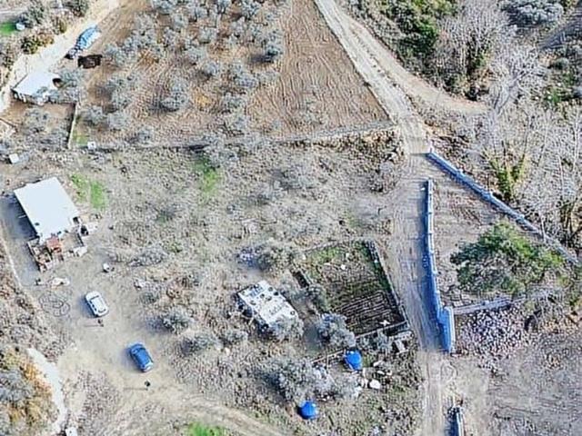 KEMALPAŞA MERKEZE YAKIN VADİ İÇİNDE SATILIK TEK TAPU ZEYTİNLİK
