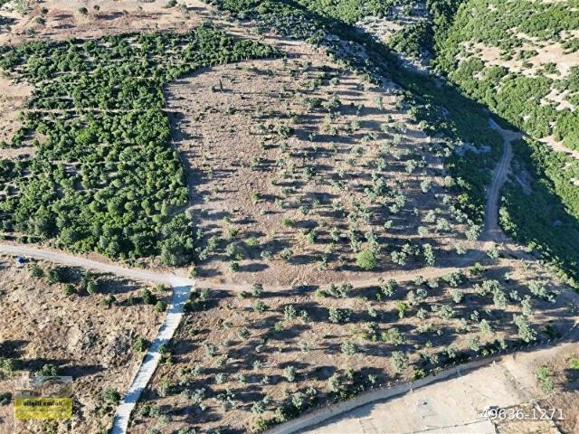 kemalpaşa sütçüler de yatırımlık fırsat arsa