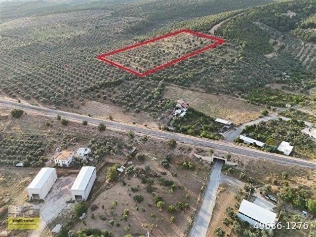 Kemalpaşa Sütçüler'de 13.250 m Yatırımlık Tarla