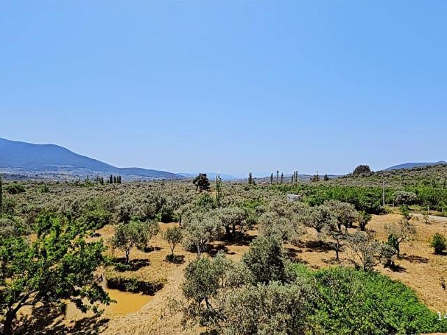 KEMALPAŞA VİŞNELİ SATILIK ÇİFTLİK