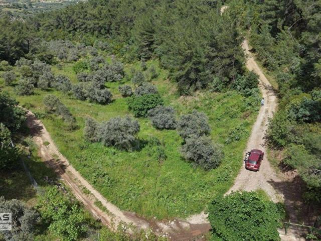 Kemalpaşa Yeşilköy de Satılık Tek Tapu 4.821 m Manzaralı Bağ