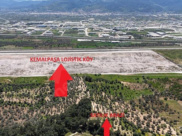 Kemalpaşa Yenmiş'de Satılık 4.110m2 Zeytinlik
