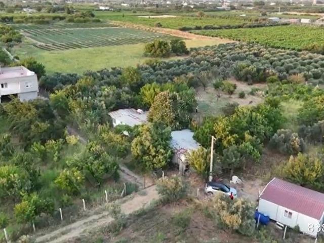 Kemalpaşa Yukarıkızılca Ana Yola Yakın Satılık 4450 m2 Bahçe