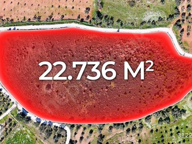 KemalpaşaDa Müstakil Tapulu 22.736 M 2.000M Depo İzinli Yatırım Fırsatı!