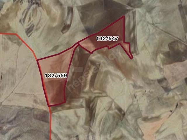 KENTAŞ'TAN HAYMANA ÇELTİKLİ'DE KÖK TAPU SATILIK TARLA 129765 M2