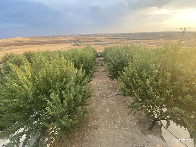 KENTLİFE GAYRİMENKUL DAN BAĞ EVİ