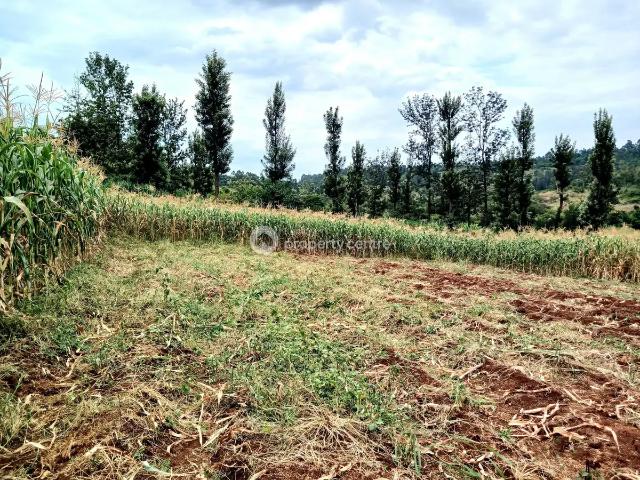 For Sale: Kenol maragua Highway. Makuyu, Muranga | Kenya Property Centre Ref: 19278 Kenya Property Centre KPC