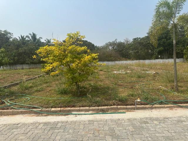 Kechery 4357 Sq.Ft. Plot in Kechery Thrissur Listing ID: #10326