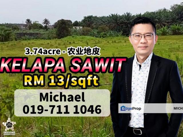 Kelapa Sawit Agricultural Land For Sale