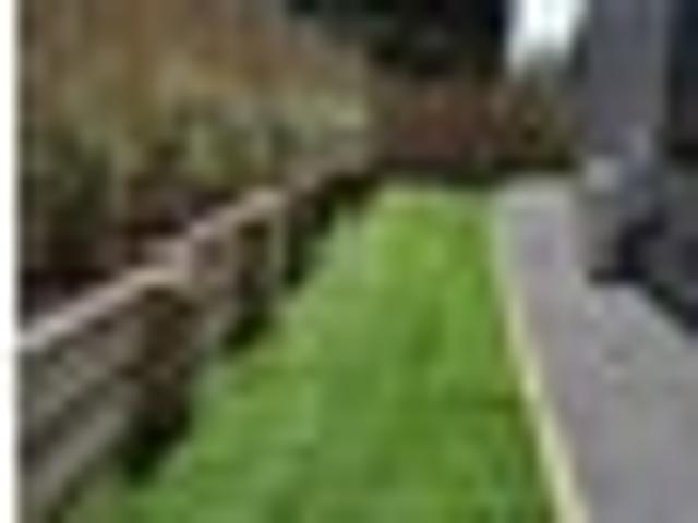 Kelburn, 3 bedrooms, $870 pw