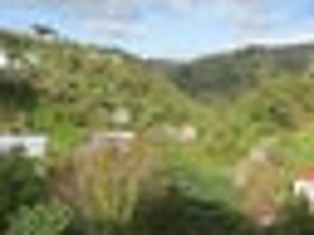 Kelburn, 4 bedrooms, $695 pw