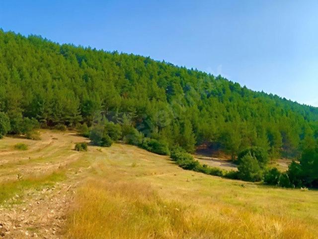 Keles Issızören Orhaneli Çayı'na 300m 3411 m Tarla Yola Cephe