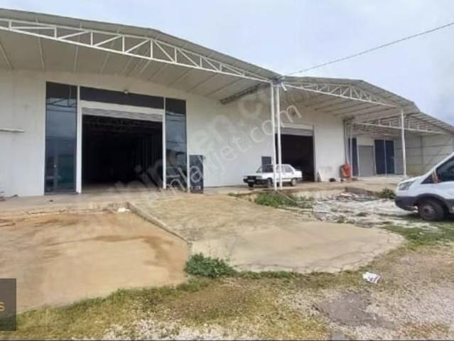 Kepez Zeytinlik 400 Kw Kiralik Depo