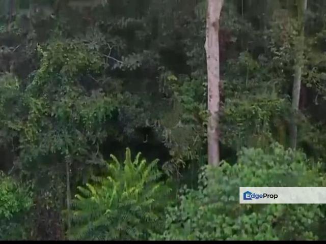 Keratong @ Rompin