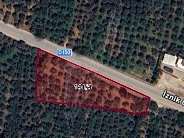 KERİM EMLAKTAN İZNİK ORHANGAZİ YOLUNA ÇEPHELİ ZEYTİNLİK 3.719 M2