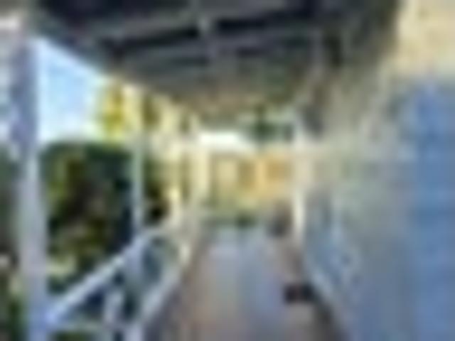 Kerikeri, 2 bedrooms, $380 pw