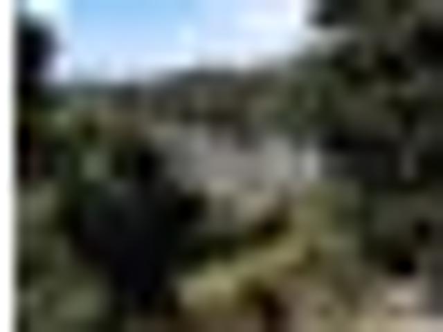 Kerikeri, 2 bedrooms, $490 pw