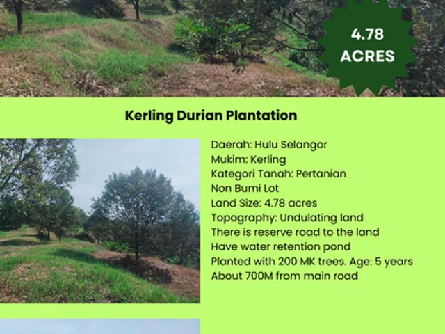 Kerling Industrial Land