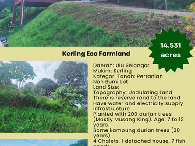 Kerling Industrial Land