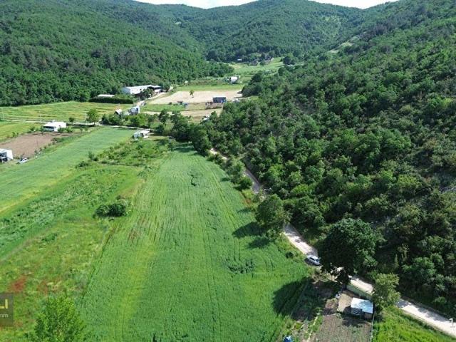 KESTEL GÖLCÜKTE SATILIK 7.126 m2 TARLA
