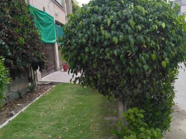 Khayaban e Amin Uppr Portion, Independent WAPDA Meter Lahore Khayaban e Amin ID 23055