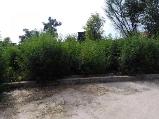 Kharian cantt near nadra office gujrat id 04009