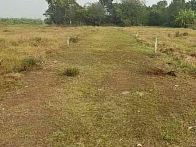 Khetwadi, Girgaon 1700 Sq.Ft. Plot in Khetwadi Mumbai Listing ID: #10050
