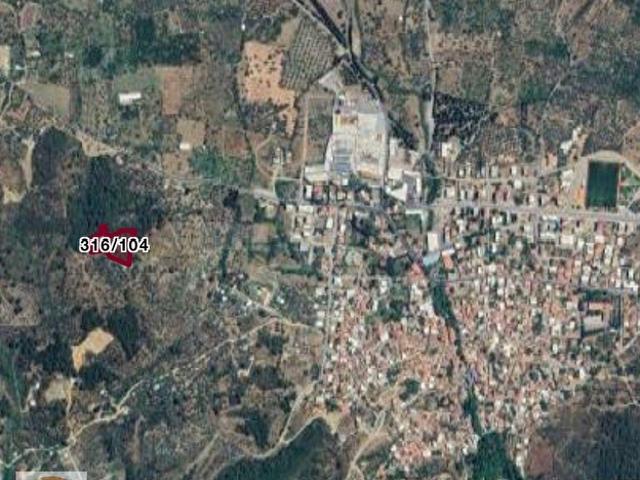 KİRALIK ZEYTİNLİK 5.223 m2 Ören Kemalpaşa İzmir